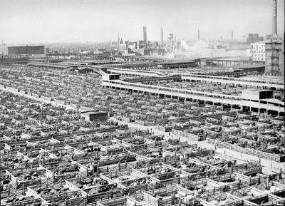 Image of the Union Stockyards with row upon row of pig pens