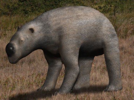 diprotodon_bw2