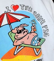 The Cove pig T-shirts are displayed at Bailey_s Service Station on Cherry Street in Panama City on Sunday_ News Photo _ The News Herald.jpg