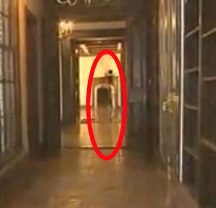 All News Web - Ghost of Michael Jackson seen by thousands and filmed? Video.jpg