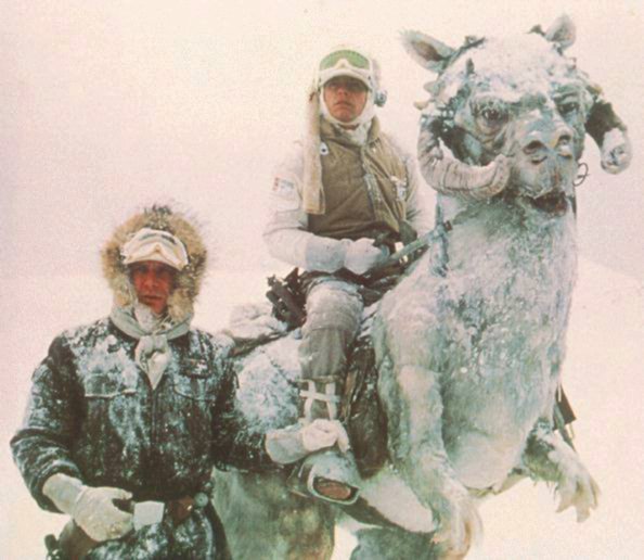 tauntaun