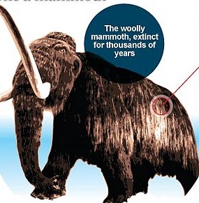 mammoth2015