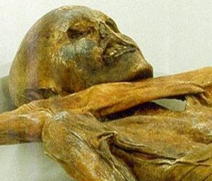 _Iceman_ mummy holds world_s oldest blood cells - Technology & science - Science - LiveScience - msnbc.com.jpg