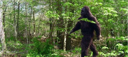 bigfoot texas murder.jpg