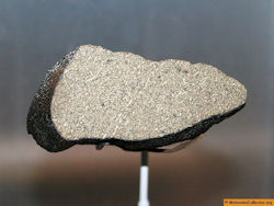 Shergotty Meteorite