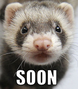 h5n1 Soon
