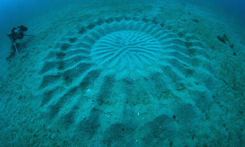 underwater-mystery-circle-8
