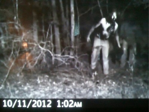 trail cam creature