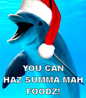 Dolphins Give Gifts of Foodz to Humanz